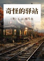 奇怪的驿站 封面