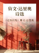 鲁文·达里奥诗选 封面