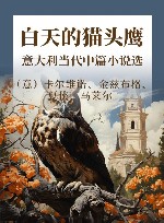 白天的猫头鹰  意大利当代中篇小说选 封面