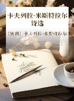 卡夫列拉·米斯特拉尔诗选 封面