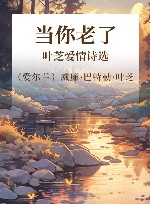 当你老了  叶芝爱情诗选 封面