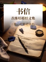 茨维塔耶娃文集  书信 封面