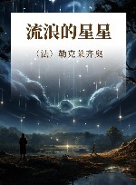 流浪的星星 封面