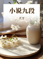 小说九段 封面