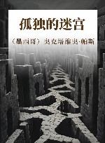 孤独的迷宫 封面