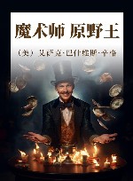 魔术师  原野王 封面