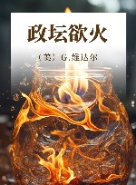 政坛欲火 封面