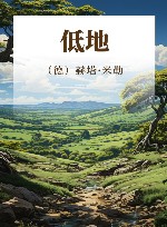 低地 封面
