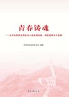青春铸魂  北京共青团党团队育人链条相衔接、相贯通研究与实践 封面