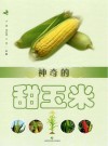 神奇的甜玉米 封面