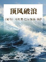 顶风破浪 封面