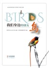 我们身边的朋友  鸟 封面