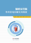 肠瘘及胃肠外科常见问题实用简析 封面