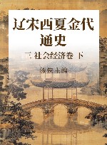 辽宋西夏金代通史  3  社会经济卷  下 封面