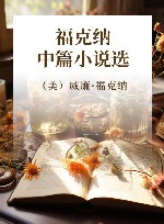 福克纳中篇小说选 封面