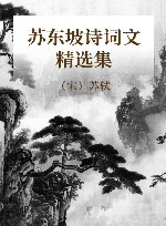 苏东坡诗词文精选集 封面