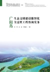 广阳岛生态文明建设数智化全过程工程咨询实务 封面