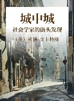 城中城 社会学家的街头发现 封面