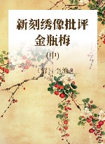 新刻绣像批评金瓶梅  中 封面