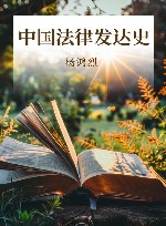 中国法律发达史 封面