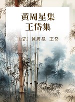 黄周星集 王岱集 封面