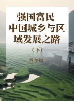 强国富民  中国城乡与区域发展之路  下 封面