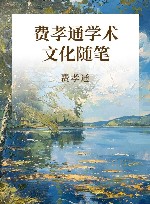 费孝通学术文化随笔 封面