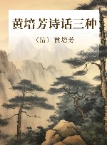 黄培芳诗话三种 封面