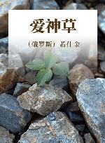 爱神草 封面