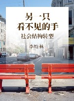 另一只看不见的手  社会结构转型 封面