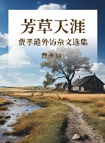 芳草天涯  费孝通外访杂文选集 封面