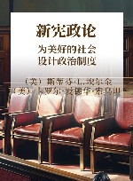 新宪政论 为美好的社会设计政治制度 封面