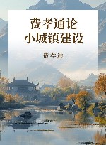费孝通论小城镇建设 封面