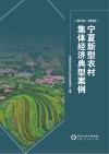 宁夏新型农村集体经济典型案例 2019-2022 封面