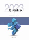 宁夏区情报告 下 2023 封面
