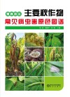 豫西地区主要秋作物常见病虫害原色图谱 封面