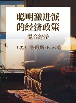 聪明激进派的经济政策  混合经济 封面