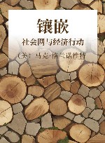 镶嵌 社会网与经济行动 封面