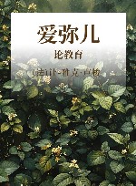 爱弥儿 论教育 封面