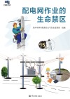 配电网作业的生命禁区 封面