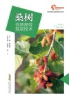 现代种植业实用技术系列 桑树优质高效栽培技术 封面