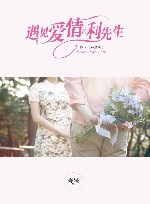 遇见爱情的利先生 原名 玻璃鞋 封面