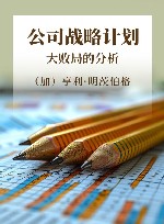公司战略计划大败局的分析 封面