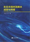 东北冷涡对流降水成因与预报 封面