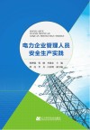 电力企业管理人员安全生产实践 封面
