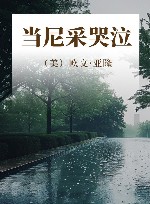 当尼采哭泣 封面