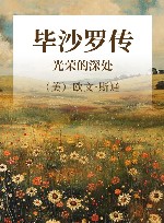 毕沙罗传 光荣的深处 封面