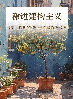 激进建构主义 封面