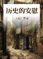 历史的安慰 封面