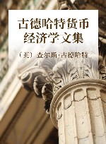 古德哈特货币经济学文集  下 封面
